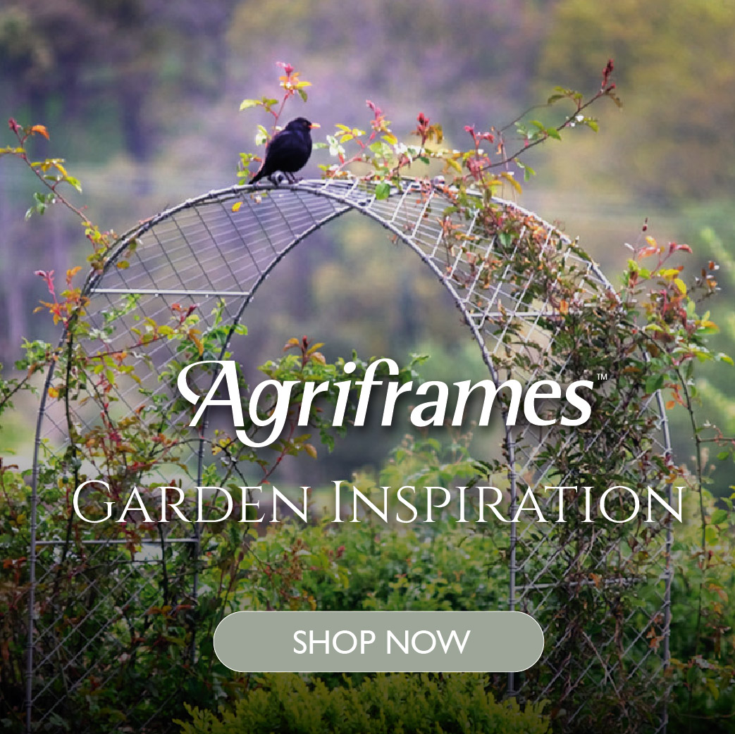 agriframes round elegance arch